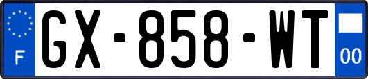 GX-858-WT