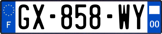 GX-858-WY