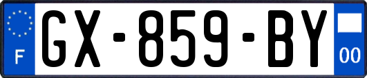 GX-859-BY