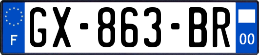 GX-863-BR