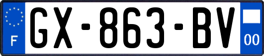 GX-863-BV