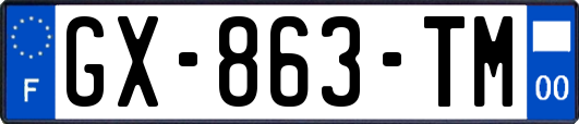 GX-863-TM