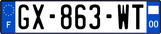 GX-863-WT