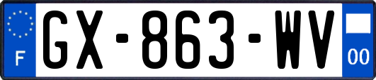 GX-863-WV
