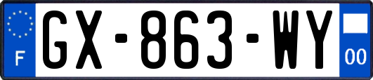 GX-863-WY