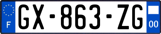 GX-863-ZG