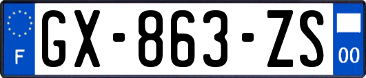 GX-863-ZS