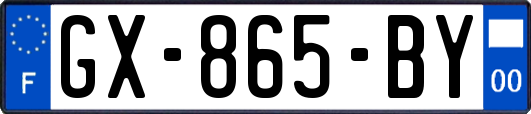 GX-865-BY