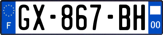 GX-867-BH