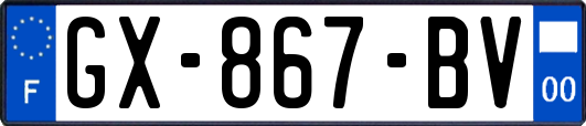 GX-867-BV