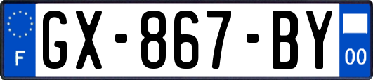 GX-867-BY