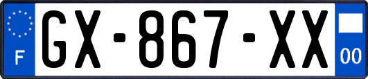 GX-867-XX