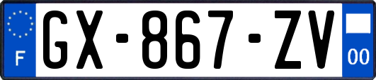 GX-867-ZV