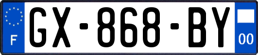 GX-868-BY