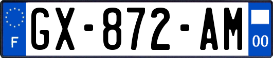 GX-872-AM