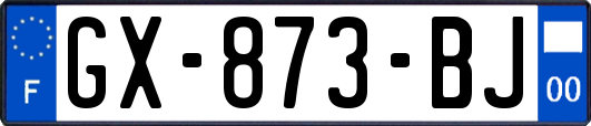 GX-873-BJ