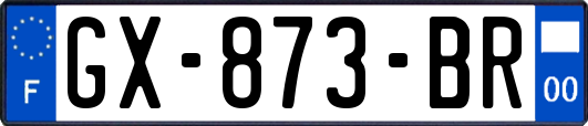 GX-873-BR