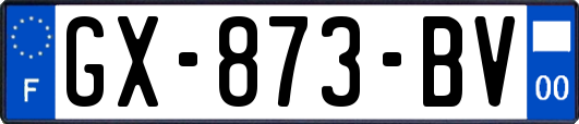 GX-873-BV