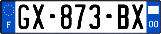 GX-873-BX