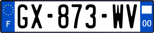 GX-873-WV