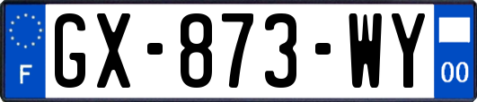 GX-873-WY