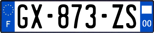 GX-873-ZS