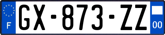 GX-873-ZZ