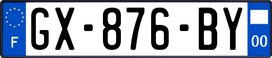 GX-876-BY