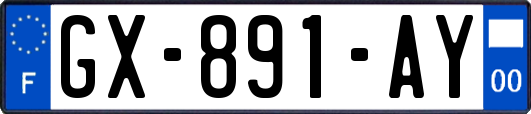 GX-891-AY