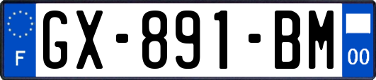 GX-891-BM