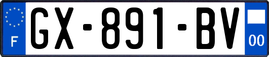 GX-891-BV