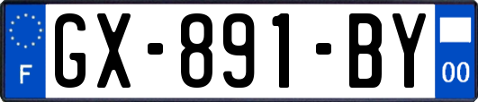 GX-891-BY