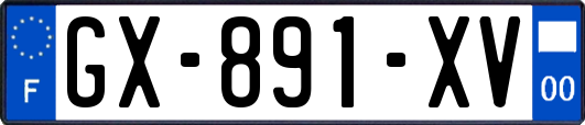 GX-891-XV