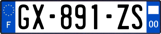 GX-891-ZS