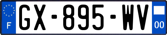 GX-895-WV