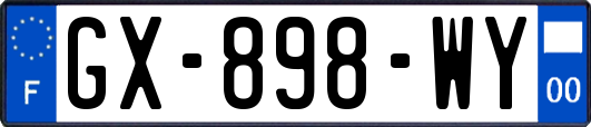 GX-898-WY