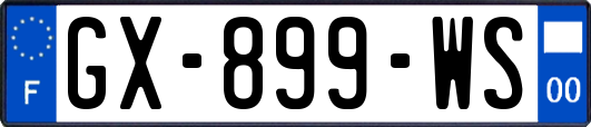 GX-899-WS