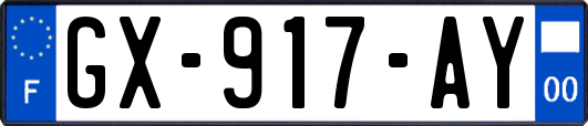 GX-917-AY