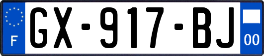 GX-917-BJ