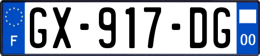 GX-917-DG