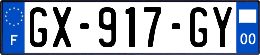 GX-917-GY