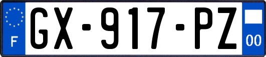 GX-917-PZ