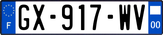 GX-917-WV