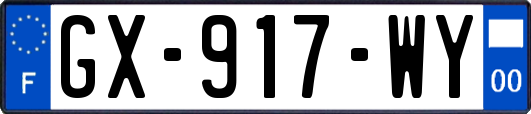 GX-917-WY