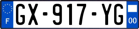 GX-917-YG