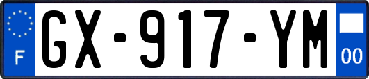 GX-917-YM