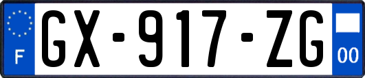 GX-917-ZG