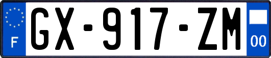 GX-917-ZM