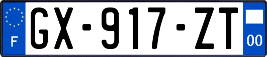 GX-917-ZT
