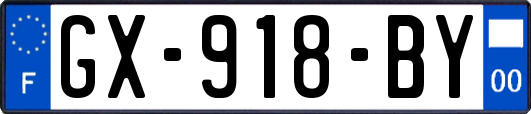 GX-918-BY